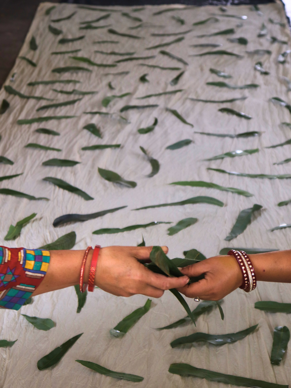 Why Vegan Fabrics Are Shaping the Future of Sustainable Fashion